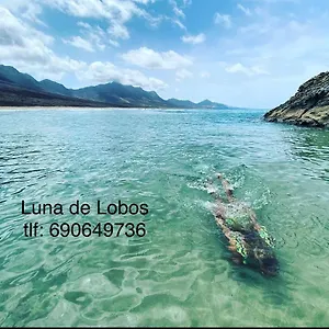 Luna De Lobos Apartamento Corralejo